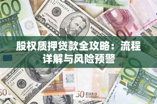 北京股权质押贷款全攻略：流程详解与风险预警