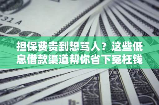 北京担保费贵到想骂人？这些低息借款渠道帮你省下冤枉钱