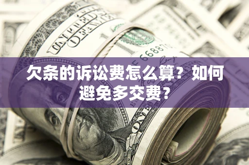 北京欠条的诉讼费怎么算？如何避免多交费？