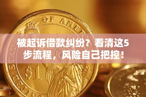 北京被起诉借款纠纷？看清这5步流程，风险自己把控！