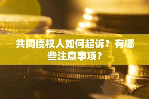 北京共同债权人如何起诉？有哪些注意事项？